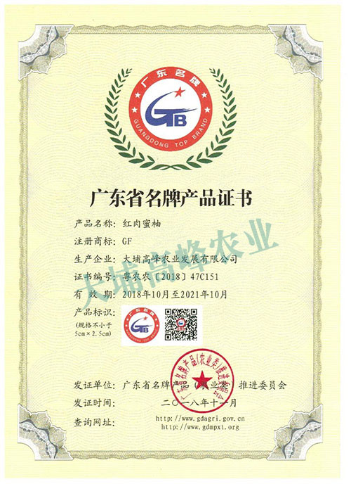 广东省名牌产品证书